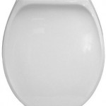 Beneke Heavy Duty solid Plastic Round front toilet seat_BK420White